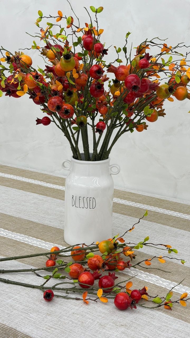 شاخه انار وارداتی